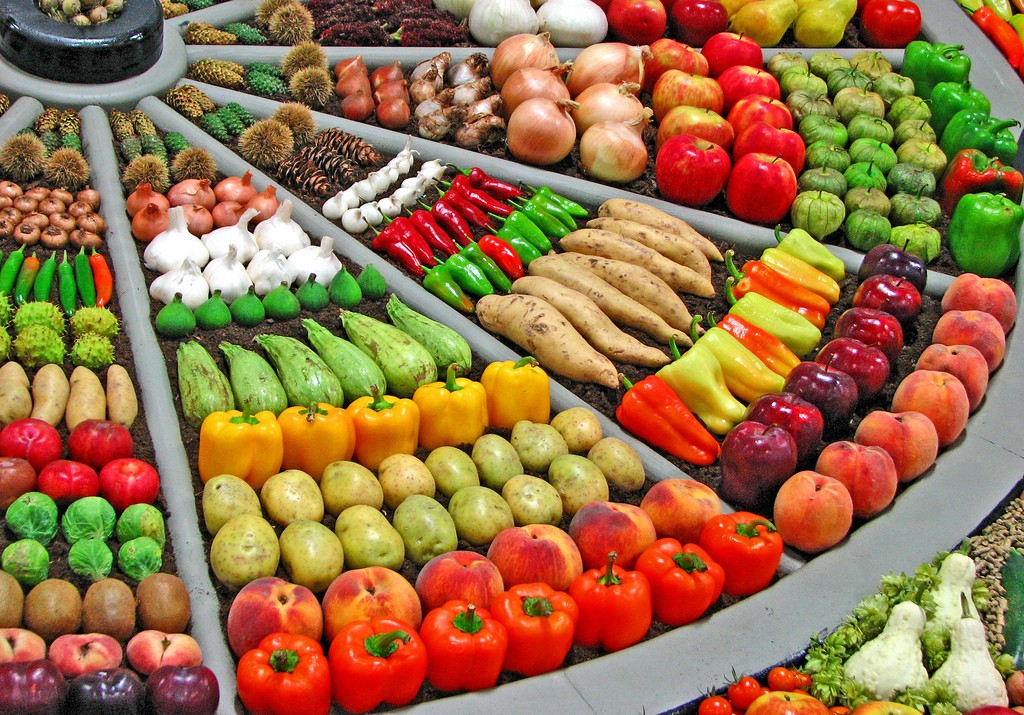 12 T4   777   Áp dụng truy xuất nguồn gốc theo Quyết định số 100QĐ TTg